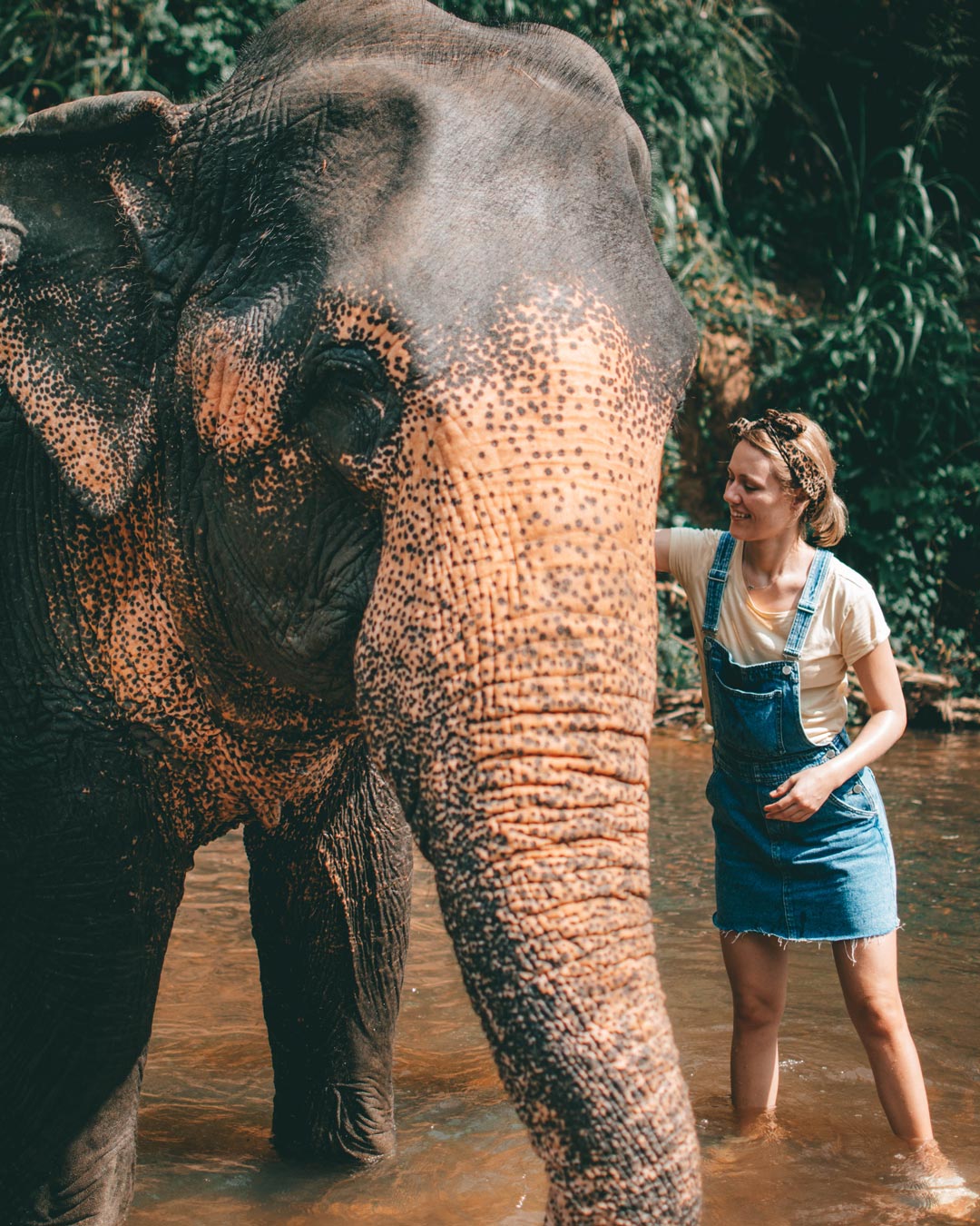 Me cleaning an elephant